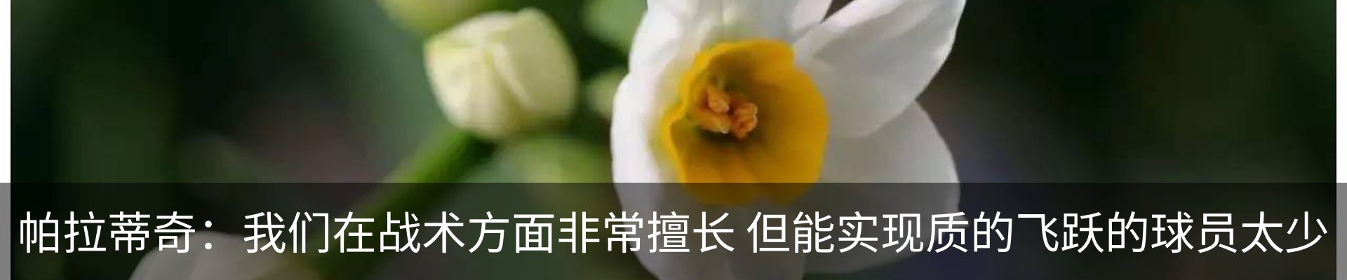 新闻动态